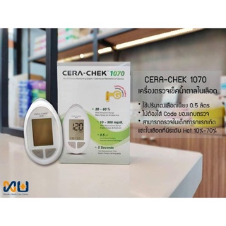 เครื่องตรวจเช็คน้ำตาลในเลือด BLOOD GLUCOSE MONITOR รุ่น 1070