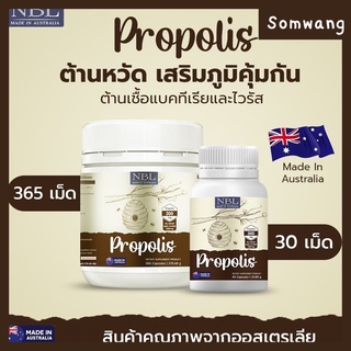 ส่งฟรี⭐️ซื้อ 3แถม1⭐️NBL propolis โพรโพลิส ลดภูมิแพ้ ไอเรื้องรัง สิวอักเสบ ยับยั้งแบคทีเรีย แก้ไอจาม