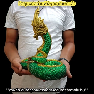 พญานาคราช ตระกูลสีเขียวทองโบราณ เอราปถะ 25ซม.ทรงเลข8 เข้าพิธีนาคาภิเษกที่วัดป่าศรีสุทโธคําชะโนด สามารถวางอ่างบัวได้ F