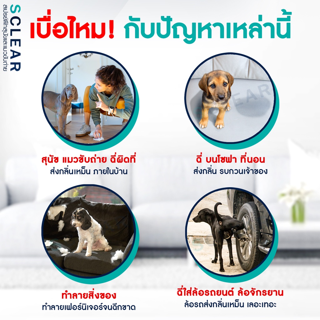 รูปภาพ 2