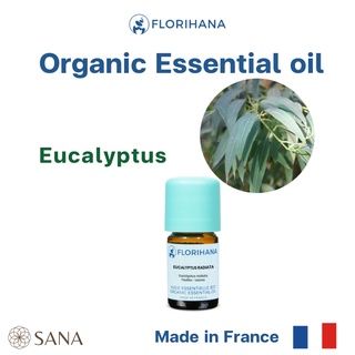 Florihana Eucalyptus Radiata Organic น้ำมันหอมระเหยยูคาลิปตัสแท้ จากฝรั่งเศส