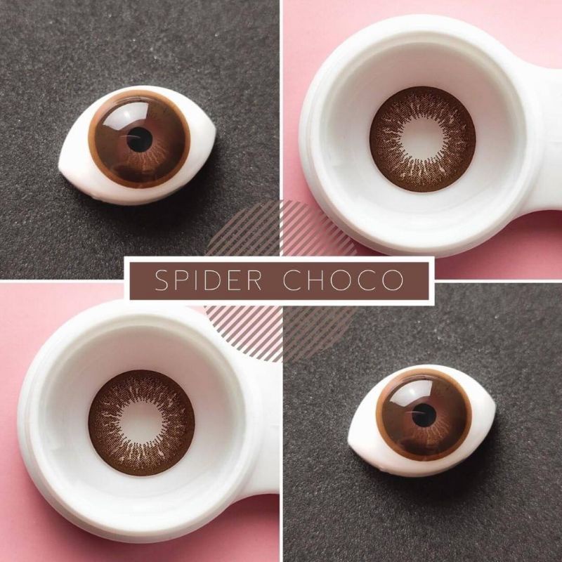 💜 SPIDER Choco Brown บิ๊กอาย สีช็อคโก้ สีน้ำตาล แบ๊ว ตาโต Dream Color1 Contact Lens Bigeyes คอนแทคเลนส์