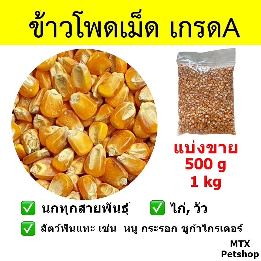 ข้าวโพดเม็ด เกรด A // สำหรับนก และสัตว์ฟันแทะ (แบ่งขาย)