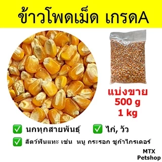 ข้าวโพดเม็ด เกรด A // สำหรับนก และสัตว์ฟันแทะ (แบ่งขาย)