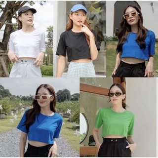 Candy crop เสื้อครอปทรงเกาหลี (59P12)