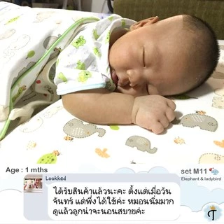 The BabyBless หมอนหัวทุยแรกเกิด ถึง 5ขวบ ป้องกันหัวแบนจากต้นเหตุ ระบายอากาศดีลดเหงื่อ กันกรดไหลย้อน