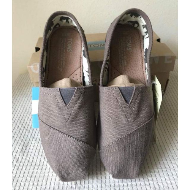 toms classic ash canvas