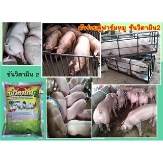 สารผสมล่วงหน้าบำรุงหมู วิตามินหมู ฟาร์มใช้จริงอย่างต่อเนื่อง ชุดนี้ 4 กิโล