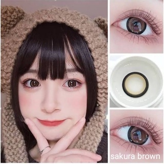 คอนแทคเลนส์ มี อย.ไทย รุ่น Sakura สีเทา/gray สีตาล/brown มีค…