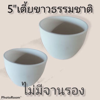 กระถางดินเผาขาวธรรมชาติทรงเตี้ย5"ไม่มีจานรองเซ็ต6ใบ