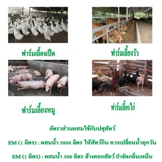 EM หัวเชื้อจุลินทรีย์อีเอ็ม ขนาด 20 ลิตร สูตรเข้มข้นแก้ปัญหาส้วมอืดดับกลิ่นเหม็นช่วยย่อยสลายคราบไขมันในบ่อบำบัด