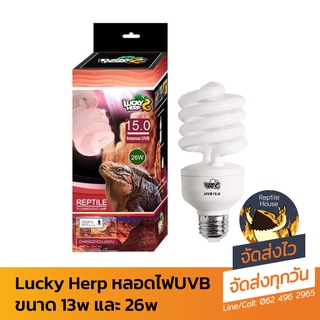 หลอดไฟ UVB 15.0 Lucky Herp ***มีUVBจริงๆไม่หลอกลวง*** (มีของแถม)