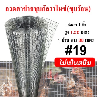 ลวดตาข่ายสี่เหลี่ยมชุบกัลวาไนซ์(ชุบร้อน) ตา1นิ้ว ลวด1มิล หน้ากว้าง1.2x30เมตร กรงไก่ ล้อมต้นไม้ ไม้เลื้อย ไม่เป็นสนิม