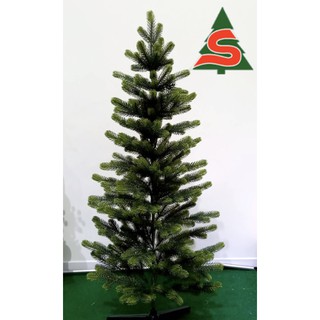 ต้นคริสต์มาสกิ่งสปรูซ 3 ฟุต (Christmas Tree - Spruce 3F)