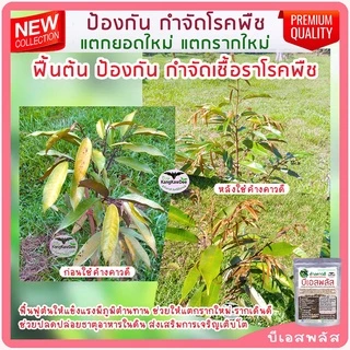บีเอสพลัส50G กำจัดโรคเน่าทุเรียน พืชทุกชนิด เชื้อราโรคพืช รากเน่าโคนเน่า ไฟทอปธอรา ใบเหลือง ใบไหม้