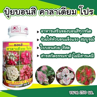 ปุ๋ยบอนสี คาลาเดียม โปร อาหารบอนสี ขนาด 250 มล ใบสวย สีสด ใบสมบูรณ์