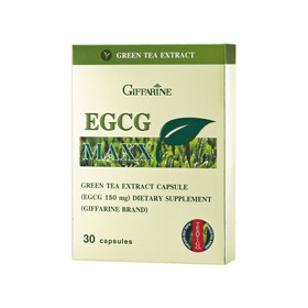 EGCG Maxx Green Tea Extract Capsule (EGCG 150 mg.) ผลิตภัณฑ์เสริมอาหาร (ตรากิฟฟารีน) INGREDIENTS (ต่