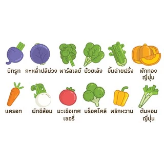 ผักเม็ด ผักอัดเม็ด ไบโอเวกกี้แพคเกจใหม่ (Bioveggie) 1 กล่อง+3ซอง สินค้าล็อตใหม่ล่าสุด