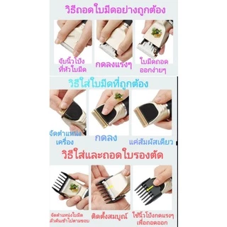🌿ปัตตาเลี่ยนตัดขนสุนัขและแมวไร้สายสำหรับมืออาชีพ SMEHNSER และRanba C59 สินค้าพร้อมส่งในไทย