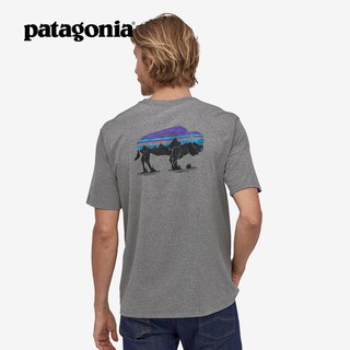 Patagonia Roy เสื้อยืดลําลองสําหรับผู้ชายแขนสั้นเหมาะกับฤดูร้อน