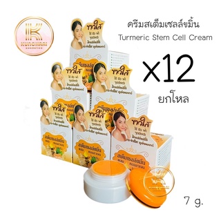 ครีมสเต็มเซลล์ขมิ้นผสมคอลลาเจนไนท์ครีม ยกโหล 12 กล่อง (ครีมขมิ้น) Turmeric Stem Cell Cream  ขนาด 7 กรัม