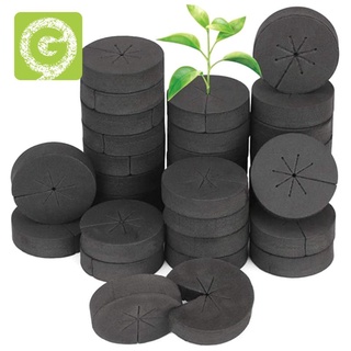 60Pcs Garden Clone Collars Sponge Block for 2 inch Cloning Machines