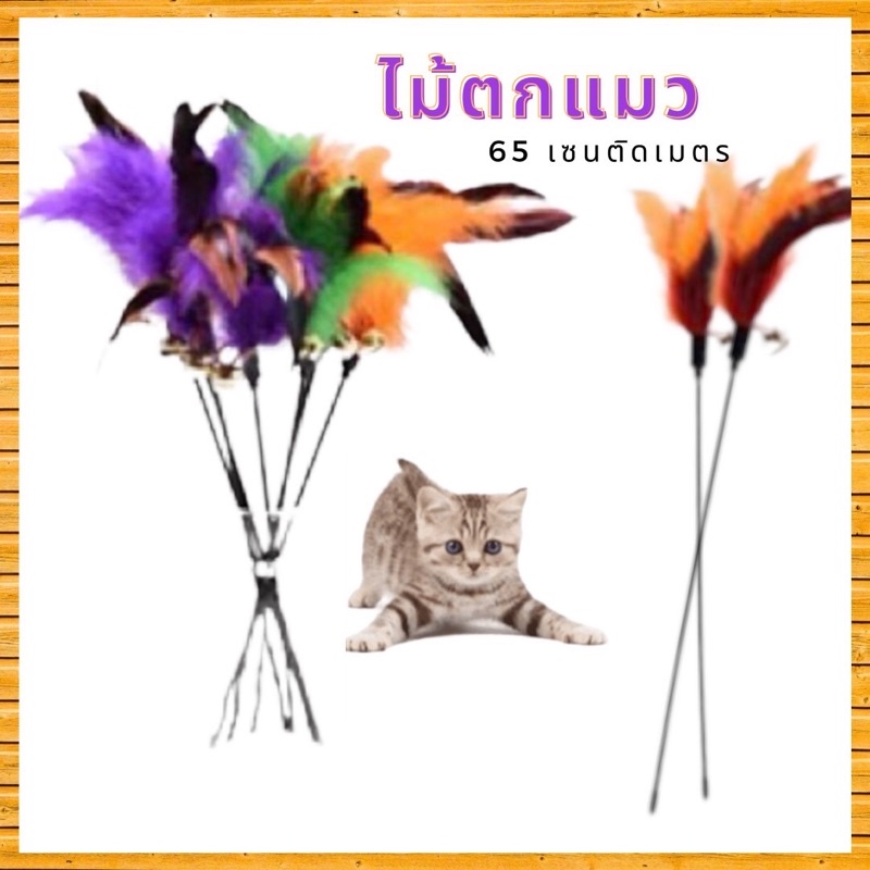 ไม้ล่อแมวความยาว65CM