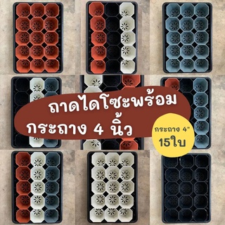 ถาดไดโซะ ถาดทึบ ถาดรู+กระถางต้นไม้ 4 นิ้ว 15 ใบ  กระถางมี 4 สี ขาว ดำ เทา อิฐ