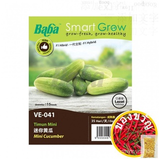 BABA SEED Baba Smart Grow Seed: VE-041Mini Cucumber /Timun Mini/มินิแตงกวา /Benih Sayur/Vegetable Seedดอกไม้/แอปเปิ้ล/บุ