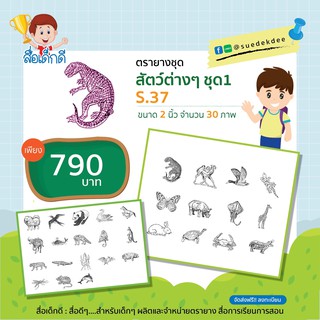 ตรายาง ชุดสัตว์ต่าง ๆ ขนาด 2 นิ้ว S.37 จำนวน 30 ภาพ