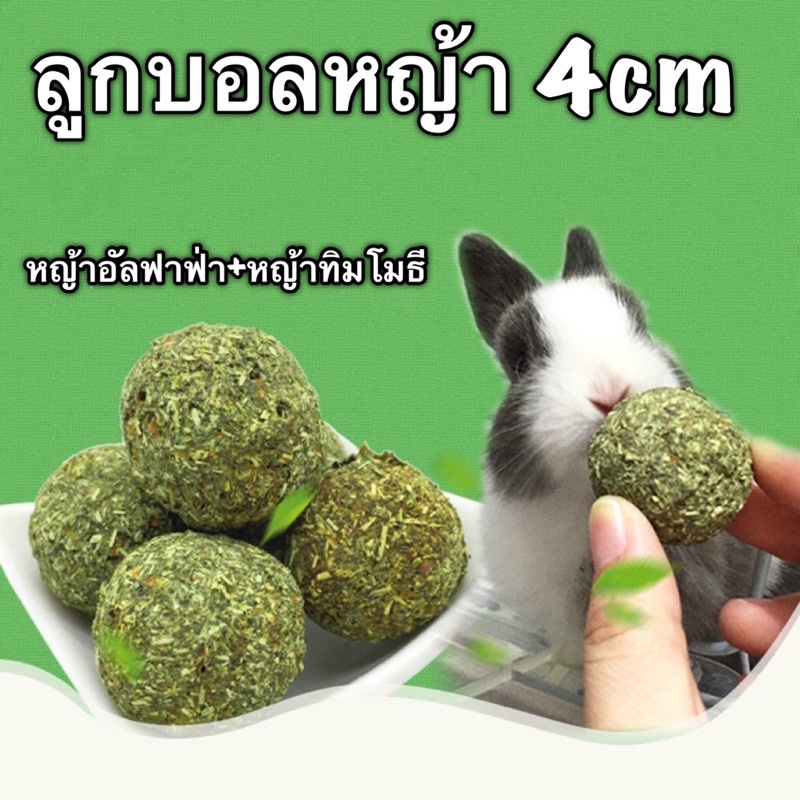 R-1 ลูกบอลหญ้า 4cm อาหารกระต่าย คุกกี้หญ้าอัลฟาฟ่า+หญ้าทิมโมธี สำหรับสัตว์ฟันแทะ กระต่าย ชินชิล่า แกสบี้
