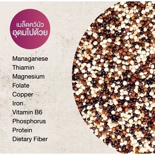 Natural & Premium N&P Organic (1000g) เมล็ดควีนัว 3 สี อินทรีย์ Organic 3 Color Quinoa Seeds (1000g)
