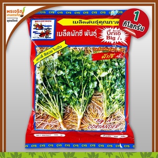 เมล็ดพันธุ์ผักชี ผักชีบิ๊กเอ Big A (1 กิโลกรัม) เมล็ดผักชีถุงใหญ่ เมล็ดผักชีปลาทอง เมล็ดพันธุ์ผักสวนครัว ตราปลาทอง