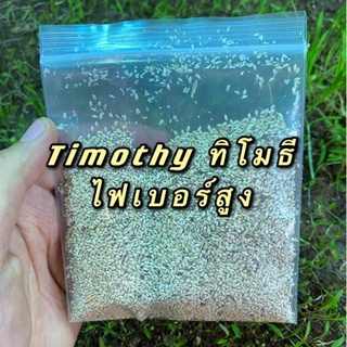 เมล็ดหญ้าทิโมธี Timothy อัลฟาฟ่า Alfalfa 30กรัม ปลูกหญ้าที่บ้านสำหรับให้เต่ากิน อาหารเต่าบก