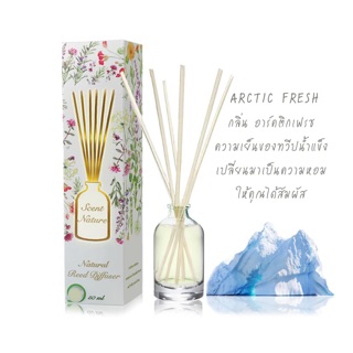 น้ำหอมไม้ปักอโรม่า กลิ่น Arctic fresh : scent nature