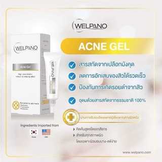 Welpano Acne Gel 10g แต้มสิว 1หลอด