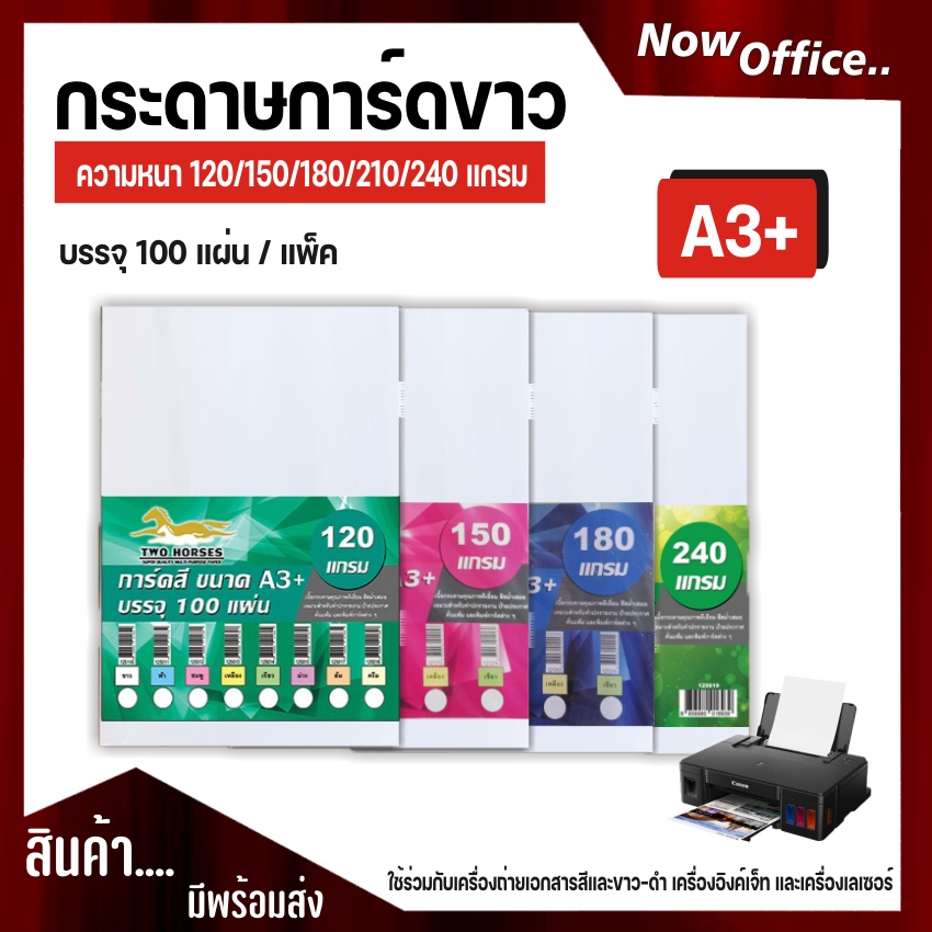 [มีส่งด่วน]กระดาษการ์ดสี ขนาด A3+ หนา 120-240 แกรม ( 31 x 48.5 cm.) พื้นผิวเรียบ บรรจุ 100 แผ่น