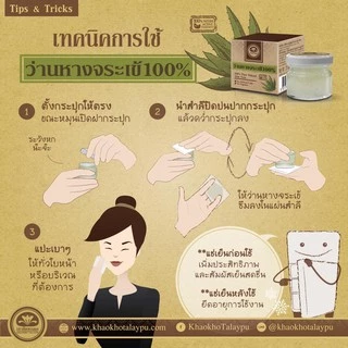 Khaokho Talaypu เขาค้อทะเลภู ว่านหางจระเข้สดแท้ 100% ใช้ทาผิวและผม อเนกประสงค์ (25 มล.)