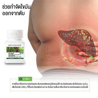 คลอเรสเตอรอลสูงมาทางนี้!!! ของแท้ ขายดีสุด จากชอปแอมเวย์ นิวทริไลท์ เลสเตอรอล Nutrilite Les Terols Amway วิตามินแอมเวย์