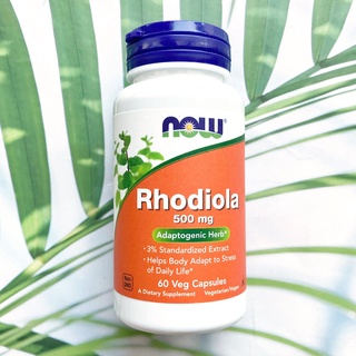 (Now Foods®) Rhodiola 500 mg 60 Veg Capsules สารสกัดจากราก โรดิโอลา