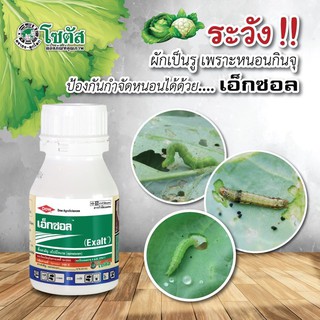 เอ็กซอล ขนาด 250 ซีซี สไปนีโทแรม (Spinetoram) เอกซอล