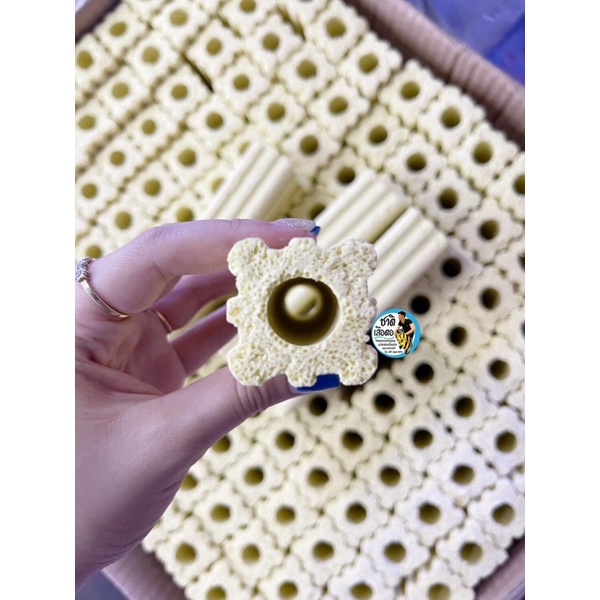 [จัดส่งเร็ว] ✯CBAR เซรามิกบาร์เหลืองสองร่อง ขนาด 16*4 cm. วัสดุกรองตู้ปลา/บ่อปลา ช่วยให้น้ำใส❁