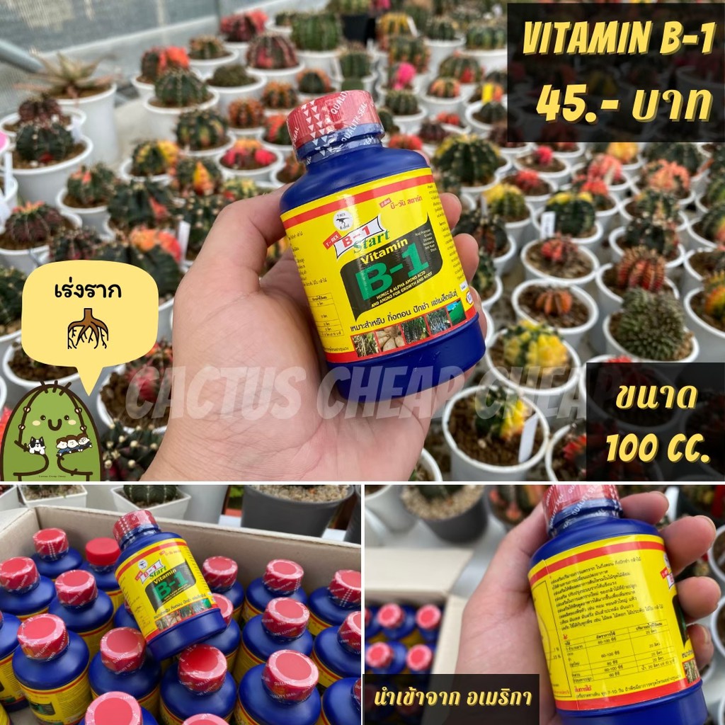 ปุ๋ยน้ำ Vitamin B-1 เร่งราก ขนาด 100 cc.