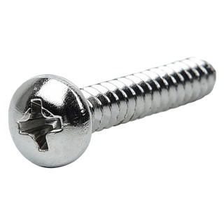 PAN.S 6X1-1/2" TAPPING SCREW 1000EA สกรูเกลียวปล่อย TP 10X1-1/4 นิ้ว 25 ตัว สกรู, น๊อตและแหวน อุปกรณ์ยึดติด เครื่องมือช่