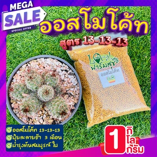 1 กิโลกรัม 🌈 ออสโมโค้ท (Osmocote) 🌈 ปุ๋ยบำรุงต้น ปุ๋ยออสโมโค้ท เร่งต้น เร่งดอก ปุ๋ยแคคตัส ไม้ประดับทุกชนิด ปุ๋ยละลายช้า