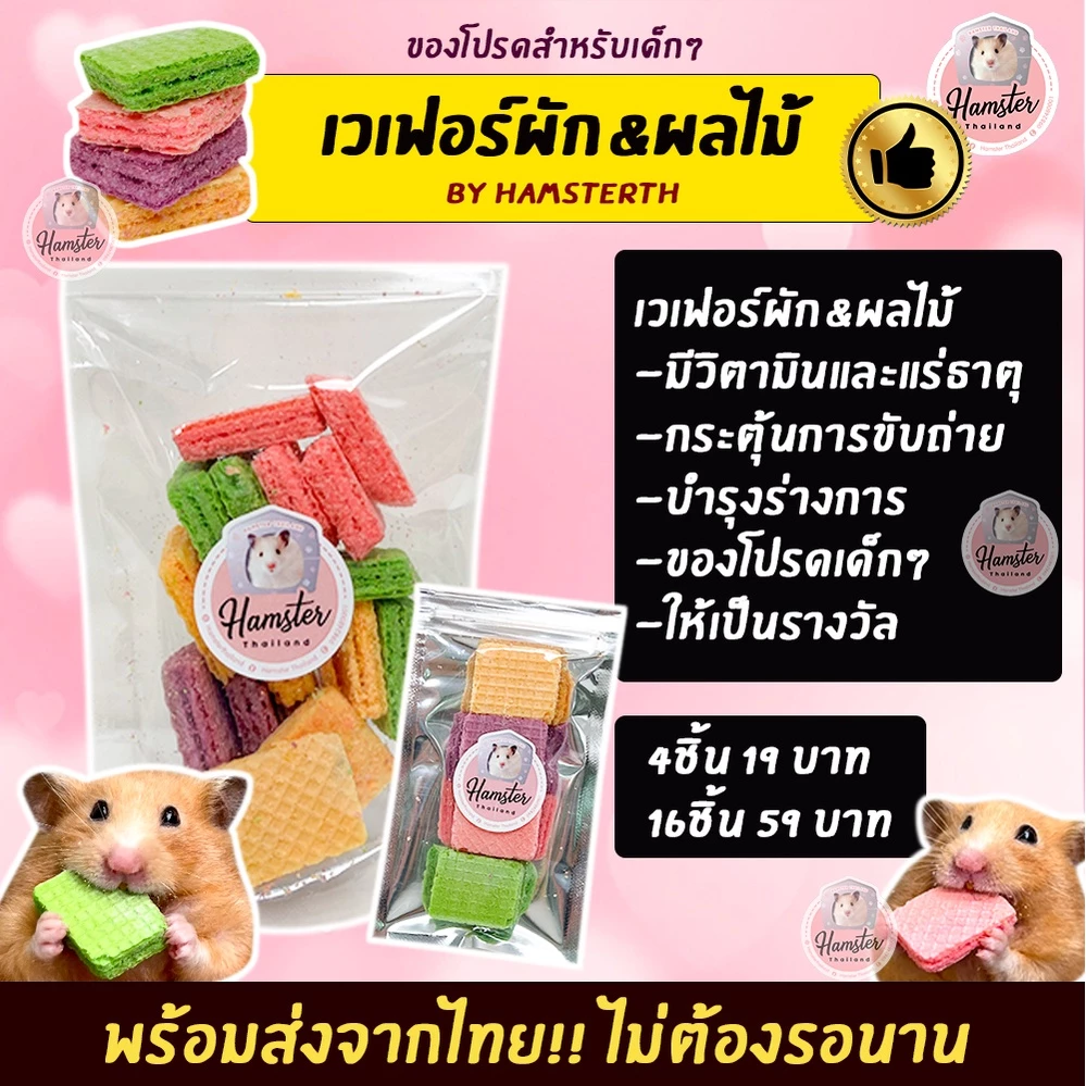[Hamsterthailand] Furity Wafer เวเฟอร์ ขนมสำหรับสัตว์เลี้ยง แฮมสเตอร์ เม่นแคระ แฟตเทล ชูการ์