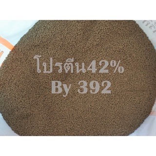 #อาหารกุ้งเบอร์3โปรตีน42%แบ่งขายขนาด500กรัม#ชนิดเม็ดเล็กแบบจมเบอร์3#(สำหรับกุ้งวัยอ่อน 1-3กรัม)ชนิดจมน้ำขนาด500g.