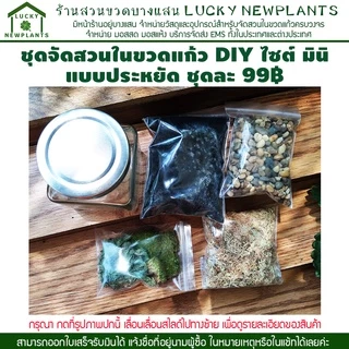 ชุดจัดสวนในขวดแก้ว DIY สวนขวด เซ็ทประหยัด 99฿ มีของพร้อมส่ง