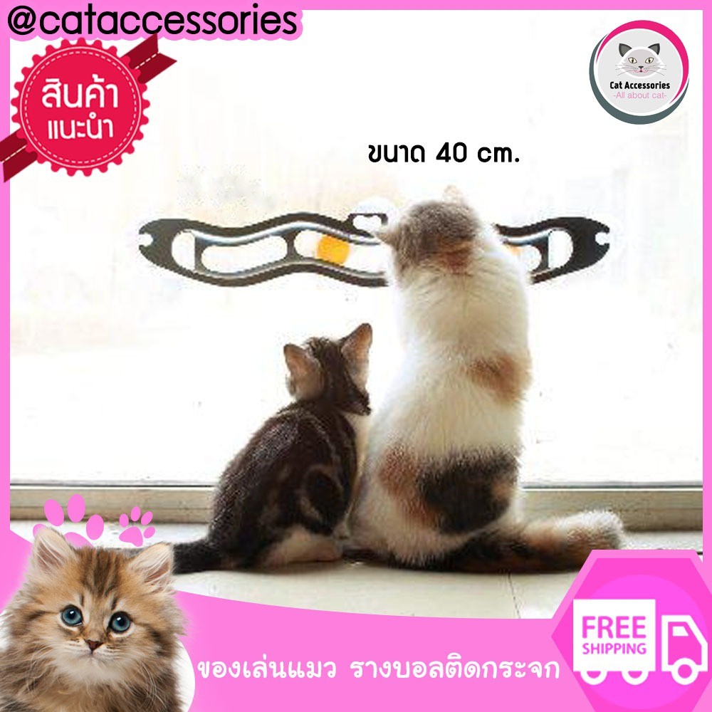 Car Accessories รางบอลของเล่นแมว ของเล่นแมว ลูกบอลแมว  รุ่น Track N' Roll แบบติดกระจก ขนาด 8.5x 57 c