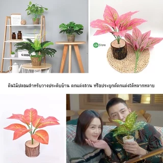 พร้อมส่งในไทย ถึงเร็วทันใจ ** ต้นไม้ประดิษฐ์ สวยงามเสมือนจริง สายพันธุ์ยอดนิยม รุ่น G33 (เฉพาะต้นไม้ไม่รวมกระถาง)